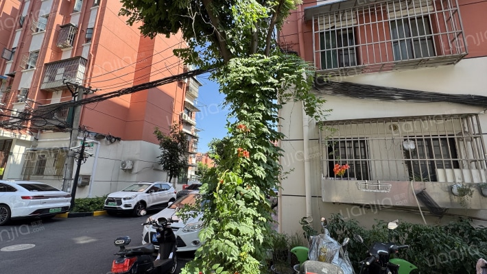 桃浦五村迎春苑外景图