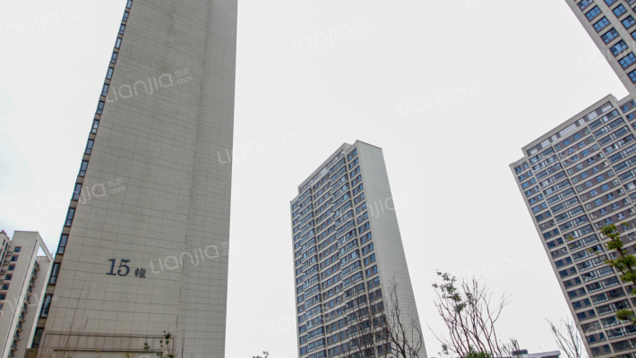 金地风华国际外景图