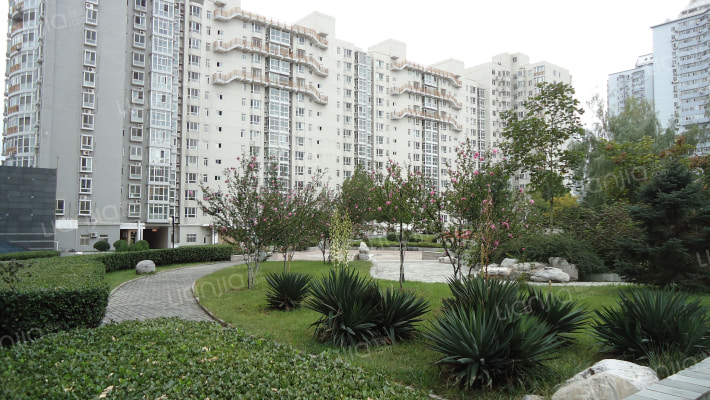 阳光新干线外景图