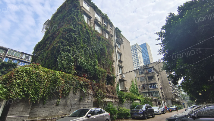 文武路152号外景图