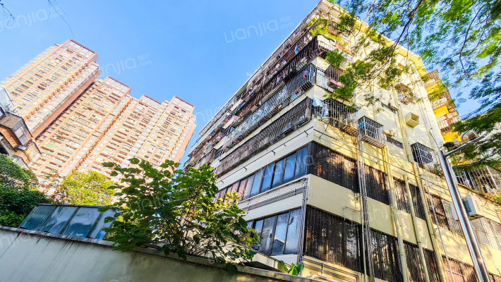 轻工大厦(深中街)外景图