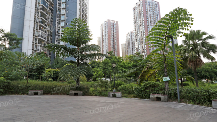 聚慧雅苑外景图