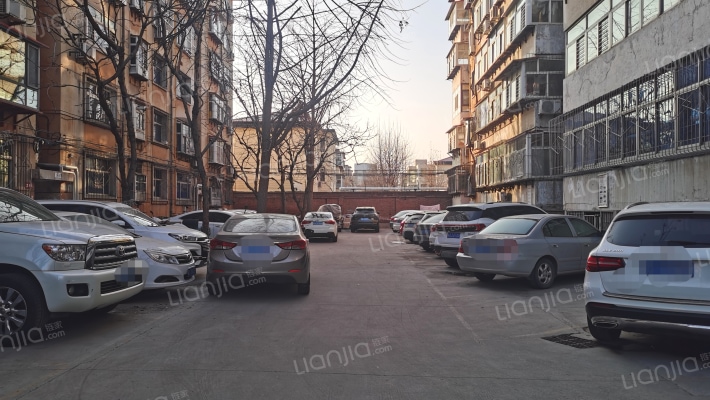 新华区翔翼路政府宿舍外景图