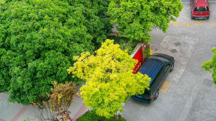 许昌路570弄外景图