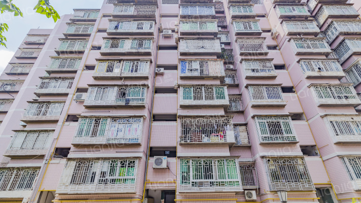 新港里新村外景图