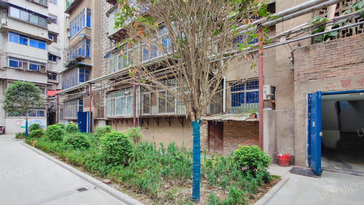 物价局家属院(碑林)外景图