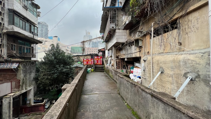 中山东路24号外景图