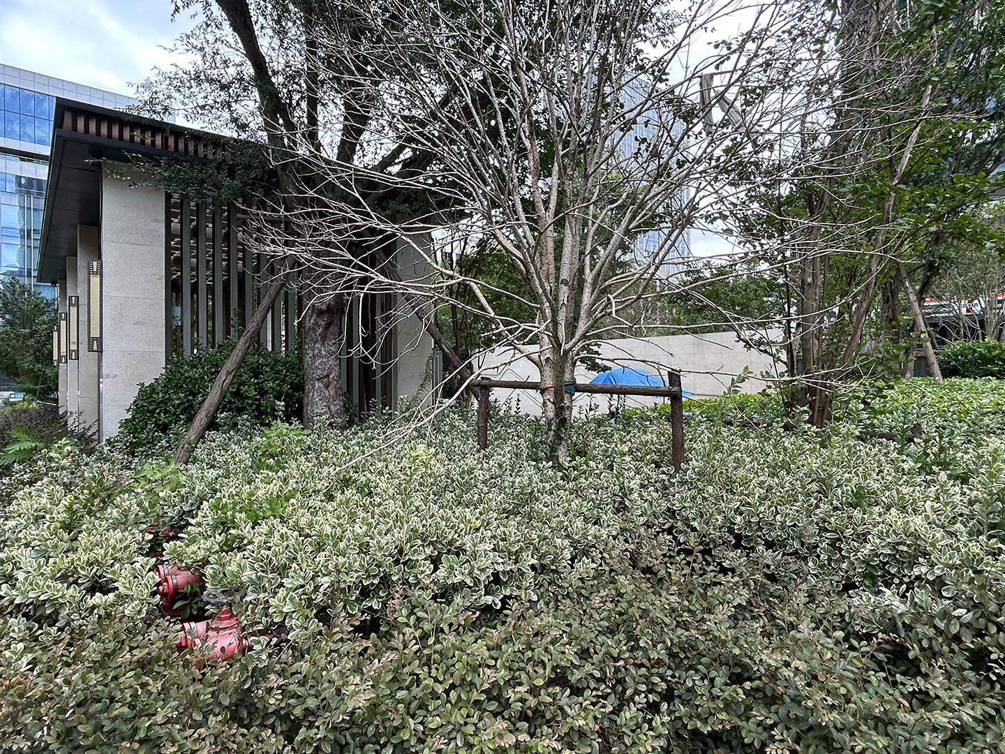 时代之心小区实景 4