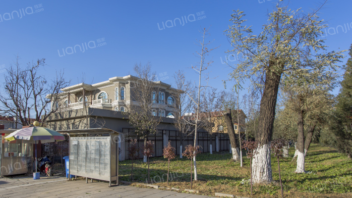 丛林庄别墅外景图