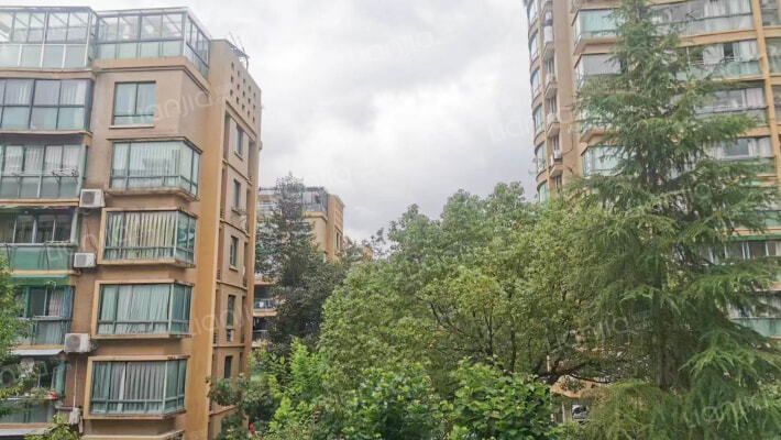 丁香南苑外景图