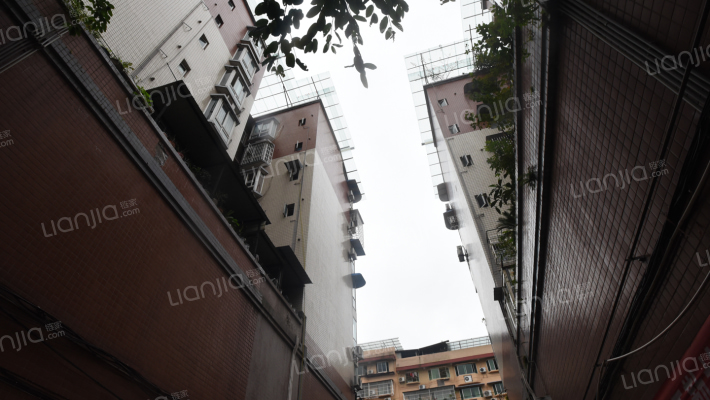 双凤支路5号外景图