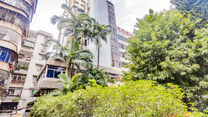 鹅岭南路4号小区外景图