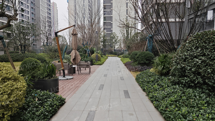 招商蛇口璀璨学府外景图