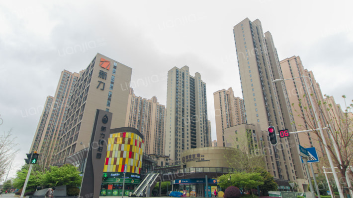 新力琥珀园外景图