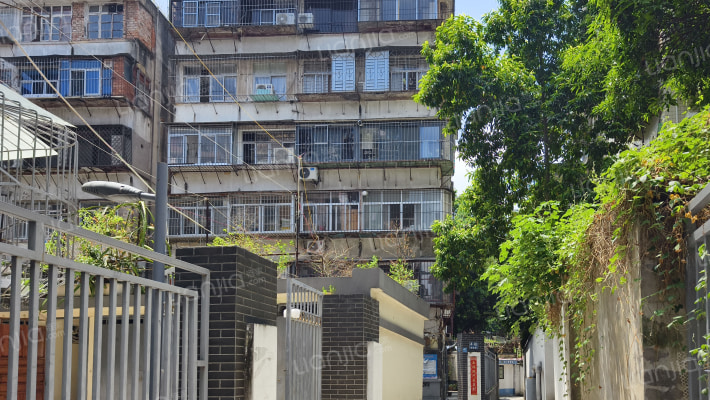 金泉弄4号外景图