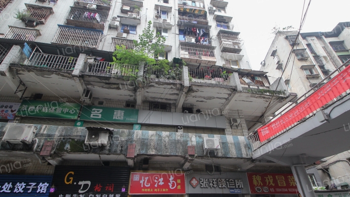 新民街215号外景图