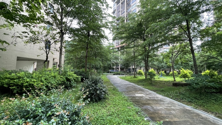 山水华章外景图