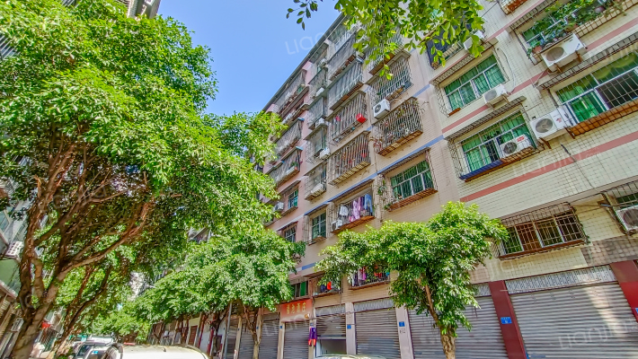 红碑四街22号外景图