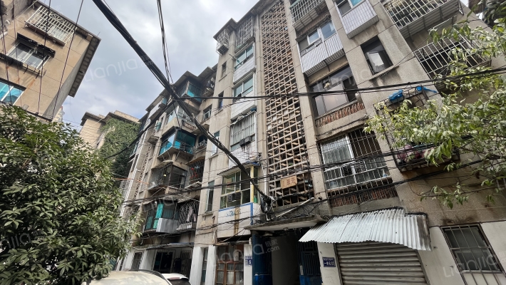 鲤鱼东巷6号外景图