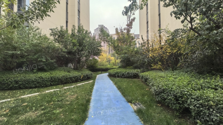 六和茗著外景图