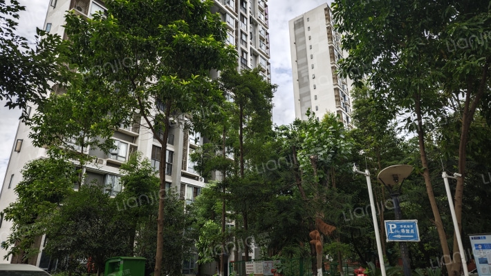 东桂三号院外景图