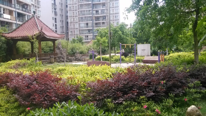 家盛缙云华府外景图