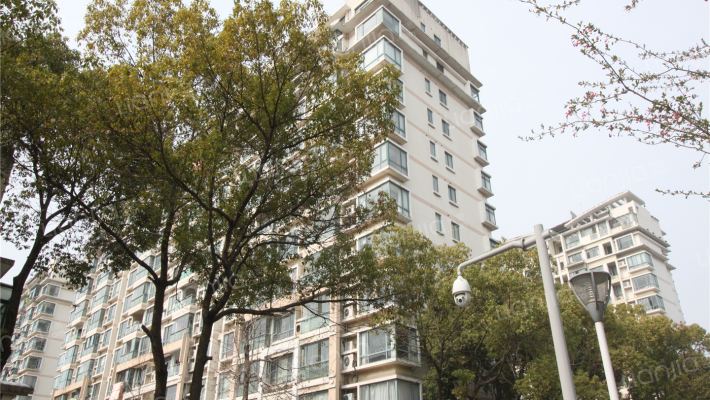 国泰现代城外景图