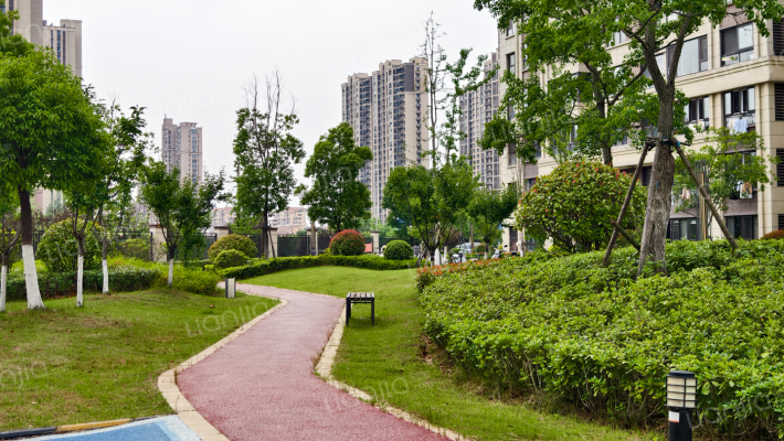 三金祥云外景图