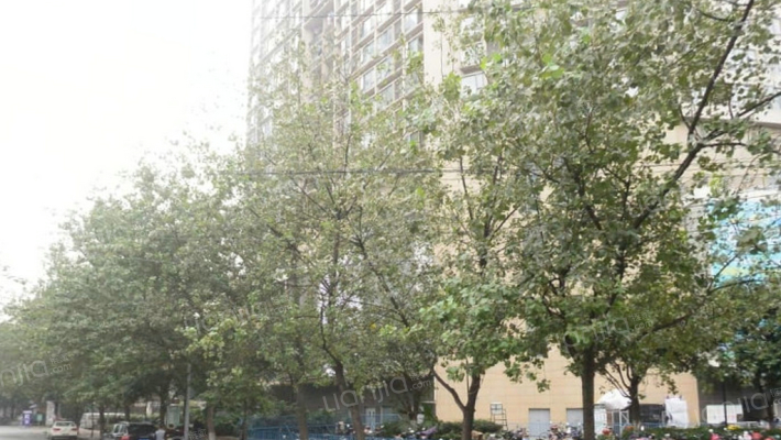 金沙路137号外景图