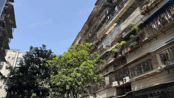 胜利村110号附3号外景图