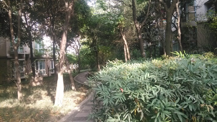 麒龙山水外景图