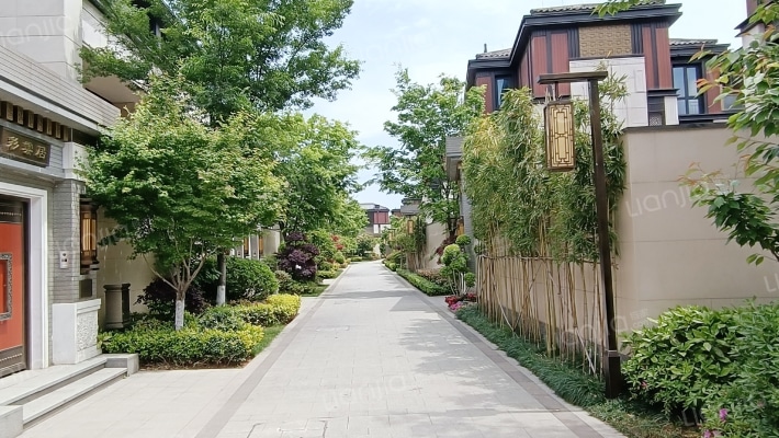 泰禾杭州院子外景图