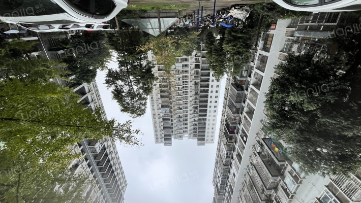 麒雅中央花园C区外景图