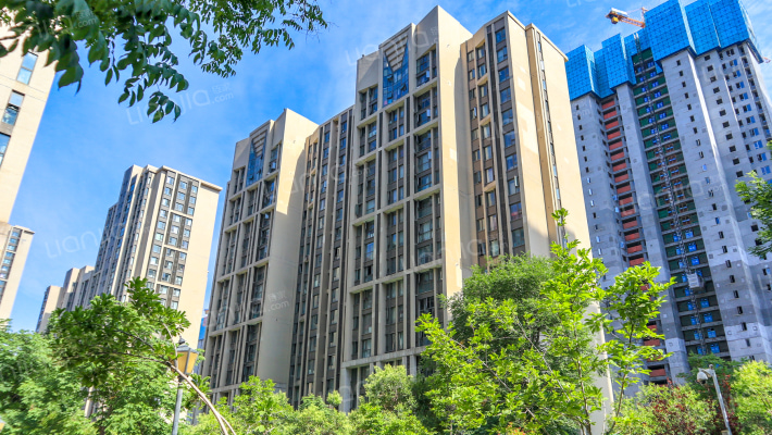 洼刘新城B区外景图