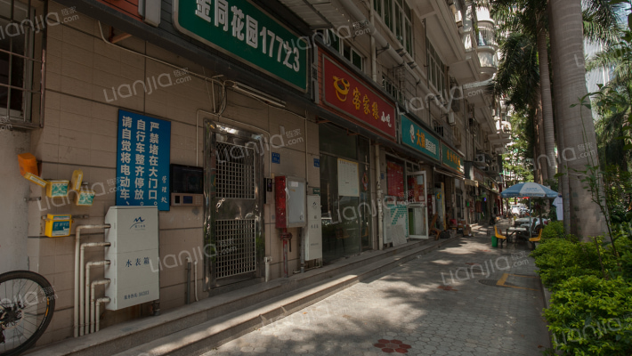 金同花园外景图