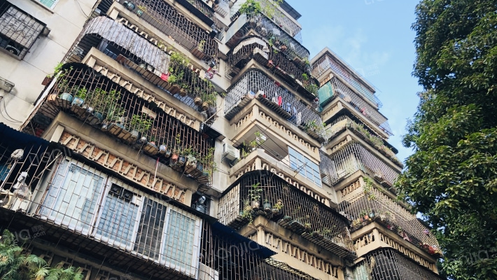 同安大街外景图