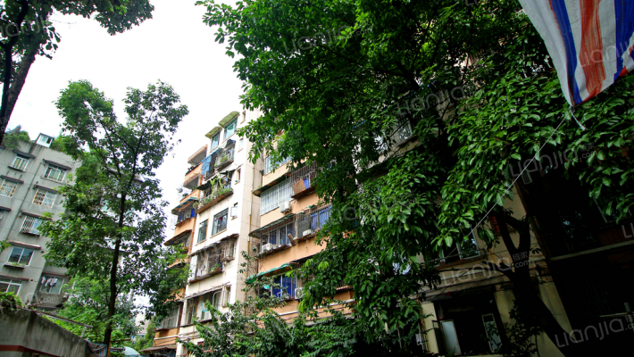 燃灯寺东街30号外景图