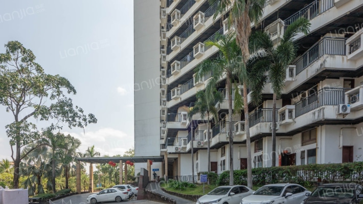 大卫传奇外景图