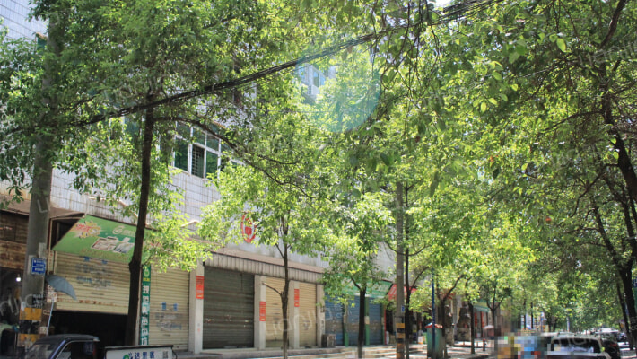 湘德雅居外景图