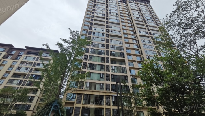 红星天铂外景图