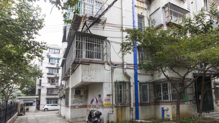 后大树根2号外景图