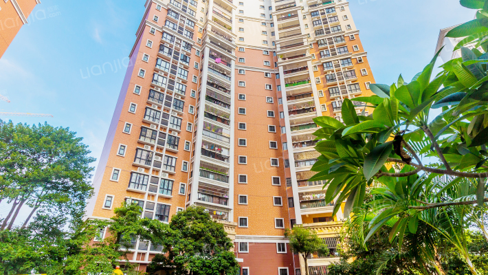 富星半岛外景图