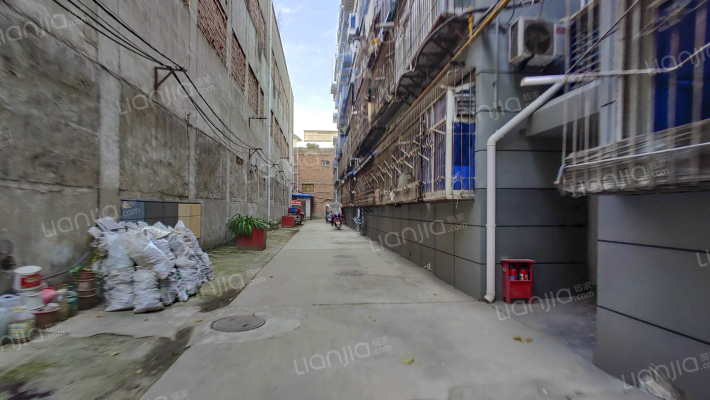 棉麻公司家属院外景图