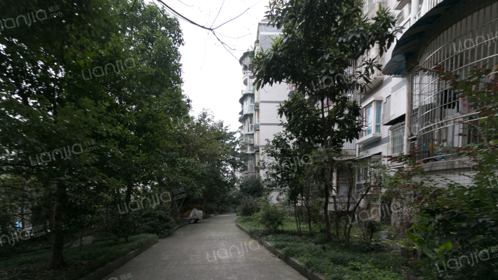 金碧园小区外景图