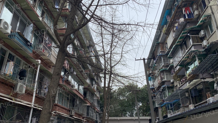 玉林横街17号外景图