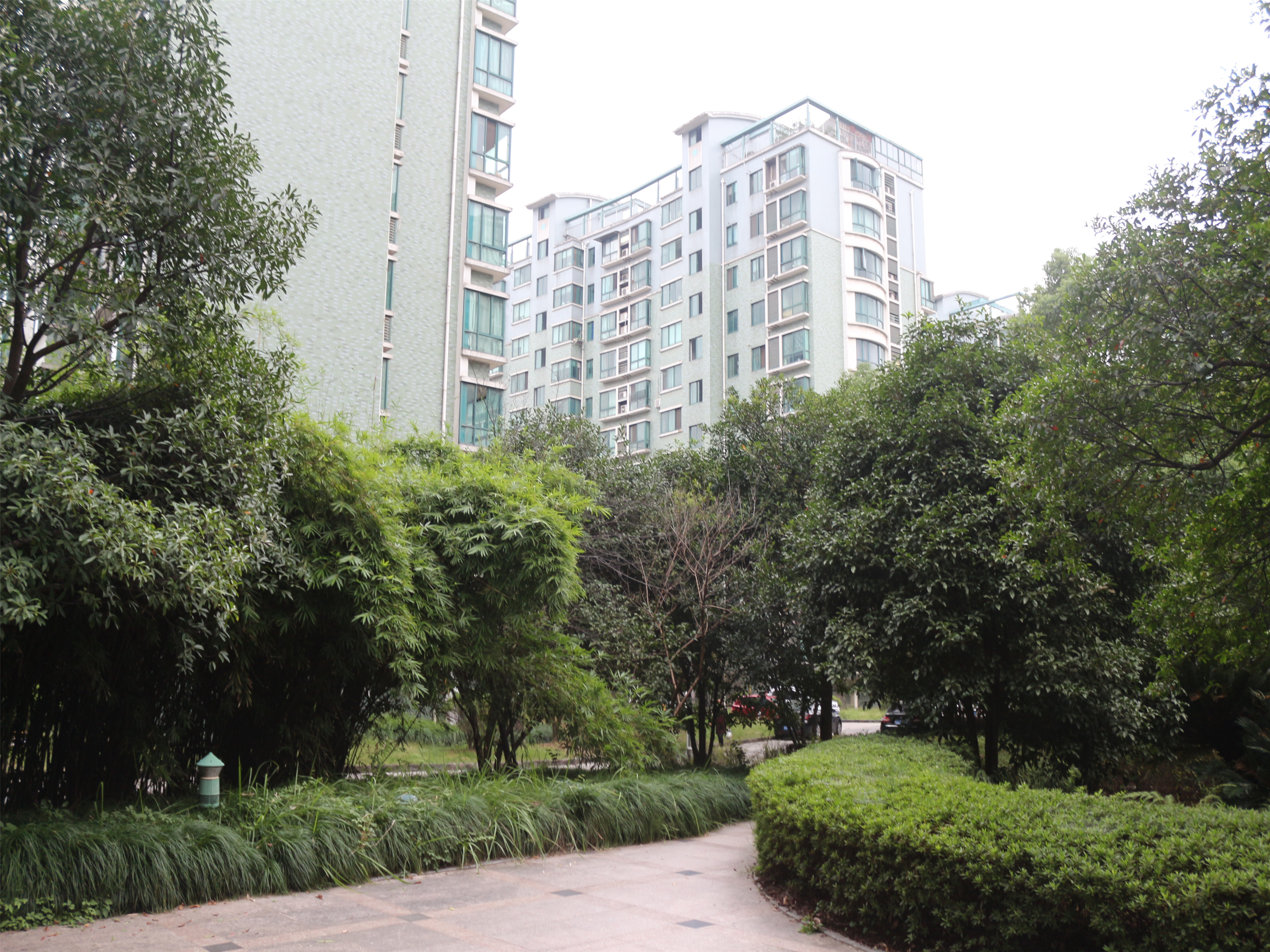 中兴花园小区实景 13