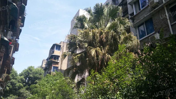 沙湾路164号外景图