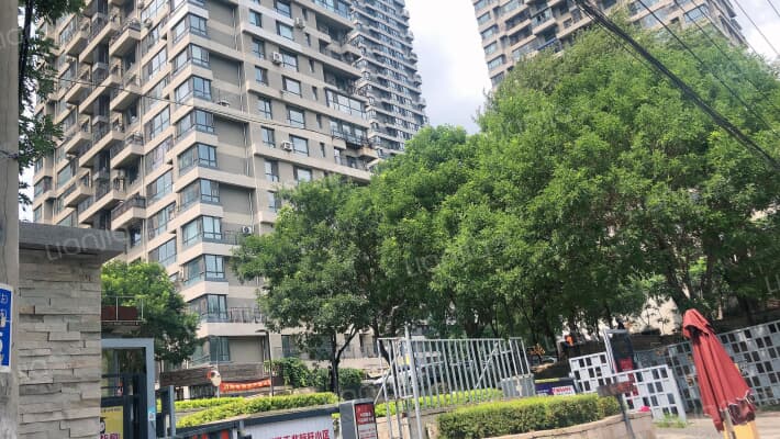 格林常青藤外景图