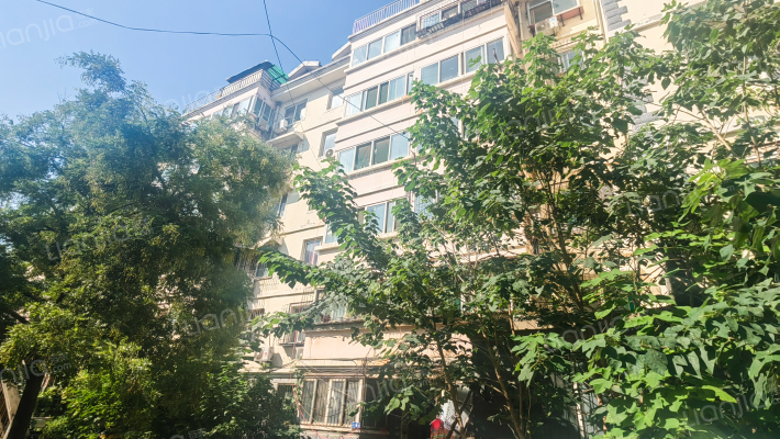 将军路1511号外景图