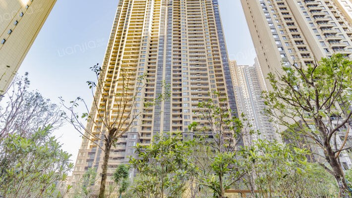 中建御景星城外景图